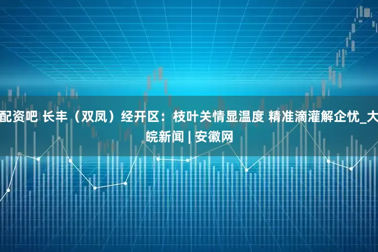 配资吧 长丰（双凤）经开区：枝叶关情显温度 精准滴灌解企忧_大皖新闻 | 安徽网