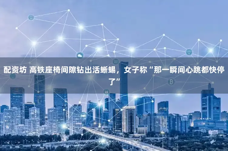 配资坊 高铁座椅间隙钻出活蜥蜴，女子称“那一瞬间心跳都快停了”